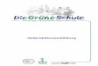 Heilpraktikerausbildung - Die Grüne Schule Emilienstr. 21 20259 Hamburg 040 / 49 32 07 -6- Unser Schulkonzept Die Grüne Schule bereitet mit ihrem Ausbildungskonzept sowohl auf die