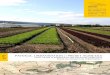 PAySAgE, URBANISATION PROJET AgRIcOLE · à travers une série d’exemples concrets, cette plaquette vise à décrire, par le paysage, les enjeux d’un projet agricole dans un projet