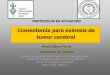 Craneotomía para exéresis de tumor cerebralchguv.san.gva.es/docro/hgu/document_library/... · (ESTESIONEUROBLASTOMA)-Protoplásmico - Gemistocítico Sesion SARTDSesion SARTD- -CHGUV