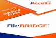 Guía de Usuario FileBRIDGE - Custodia de Documentos Records...Guía de Usuario FileBRIDGE Gestión de Bóveda Página 6 de 23 La lista de artículos puede ser ingresada manualmente