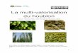 La multi-valorisation du houblonensaia.univ-lorraine.fr/telechargements/rapport_projet...La culture du houblon en aéroponie vise à satisfaire des besoins locaux de production notamment