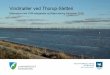 Vindmøller ved Thorup-Sletten - Vesthimmerland...VINDMØLLER VED THORUP-SLETTEN 4 FORORD Eurowind Energy A/S, GK Energi ApS og Wind1 A/S har ansøgt Vesthimmerlands Kommune og Jammerbugt