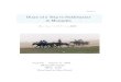 Diary of a Trip to Sukhbaatar in Mongoliama-ueda.sakura.ne.jp/Others/07SukhbaatarDiary(EN).pdf · Ten horses, they said, were going to join the Naadam (*) race tomorrow. Mongolian