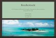 Koralleninseln - uni-hamburg.de · Encyclopedia of modern coral reefs: structure, form and process. Dordrecht. - K RÄMER, A. (1928). Die Entstehung und Besiedlung der Koralleninseln