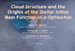 Cloud Structure and the Origins of the Stellar Initial ... dnelson/doc/ ¢  Origins of the