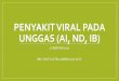 PENYAKIT VIRAL PADA UNGGAS (AI, ND, IB)vlm.ub.ac.id/pluginfile.php/41486/mod_resource/content/1/Penyakit … · AVIAN INFLUENZA (AI) •Di Indonesia pertama kali diidentifikasi tahun
