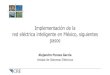 Implementación de la red eléctrica inteligente en México ... · Implementación de la red eléctrica inteligente en México, siguientes pasos Alejandro Peraza García Unidad de