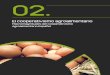 Macromagnitudes del Cooperativismo Agroalimentario Español · 2018-06-04 · Pág. 22 El cooperativismo agroalimentario EVOLUCIÓN DEL COOPERATIVISMO AGROALIMENTARIO ESPAÑOL (2006-2016)