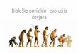 Biološko porijeklo i evolucija čovjeka · ove grupe sisara, i došla do zaključka da se evolucioni ogranak, čiji je čovjek jedini suvremeni predstavnik, nezavisno razvijao tokom