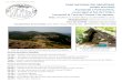 Excursió de tardor al Montseny - Vall de Santa Fe - Turó de Morou …biblioteca.cec.cat/documents/AE_Talaia/Hemeroteca/GMF... · 2013-10-24 · 12.45 h – Aturada a les Feixes