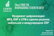 Фундамент цифровизации: MES, ERP и CPM в едином ... · 2019-11-21 · "Остров Мечты" - самый крупный крытый тематический