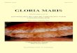 GLORIA MARIS - storage.googleapis.com · Hegedus, 1994), the Atlantic and Gulf coasts and West Indies (Morris, 1973), Bahamas (Redfern, 2001 and 2013) and Brazil (Rios, 1994, 2009)