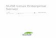 SUSELinuxEnterprise Server - Novell...ご使用製品の仮想化技術を紹介します。SUSE Linux Enterprise Serverでサ ポートされているプラットフォームのアプリケーションとインストールタ