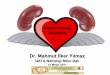 Dr. Mahmut İlker Yılmaz - TurkHipertansiyonturkhipertansiyon.org/kongre2011/salon_1/2011-05...Volüm/üremi AKY yada ADKY başlatabilir – Renal iskemi-AKY yada ADKY – Sepsis/cytokine-ABH