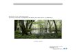 Guide d'élaboration d'un plan de conservation des milieux … · 2008-08-26 · Guide d’élaboration d’un plan de conservation des milieux humides I MINISTÈRE DU DÉVELOPPEMENT