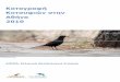 Καταγραφή Κοτσυφιών στην Αθήναfiles.ornithologiki.gr › docs › kotsyfia › reportturdusmerula.pdfΦωτογραφίες: Γιώργος Αλεξανδρής,