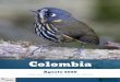 Colombia CAST 2020birdingicaro.com › uploads › 101d97898f8aedc1e177e31b4460a66a.… · Pasaremos toda la mañana observando aves a través de los senderos y visitando el lek del