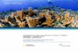 INFORME CIENTÍFICO Informe Cientíﬁcocpps.dyndns.info/cpps-docs-web/planaccion/... · del ecosistema marino del Parque Marino Motu Motiro Hiva (una zona de exclusión de pesca