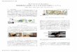 Previewed Reality 情報構造化空間における近未来可視化シス …robotics.ait.kyushu-u.ac.jp/~kurazume/papers/RSJ16-2.pdf図 4: Oculus Rift DK2，Ovrvision，光学式トラッカか