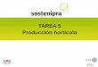 TAREA 5 Producción hortícola - UAB Barcelonaicta.uab.cat/ecotech/fertilecity/jornada/1_Fertilecity.pdf · TAREA 5 Producción hortícola. Resultados agronómicos 2 Verano 2015 Invierno