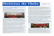 Noticias de Chile...2018/06/13  · NOTICIAS DE CHILE Nº 203 página 2 Chile y Palestina En el Palacio de La Moneda, el Presidente de la República, Sebastián Piñera, recibió a