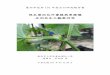 絲瓜葉的花外蜜腺與黑棘蟻 互利共生之觀察研究 · 中華民國101年07月30日 ... 有無與環境因素對螞蟻之間的影響關係，進而認識植物與昆蟲之間的