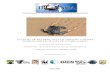 Activités de recherche et de suivi des tortues …awsassets.panda.org/downloads/rapport_tortues_gamba...dans la conservation de l’intégrité et de la diversité de la nature, ainsi
