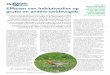 Effecten van habitatverlies op grutto en andere weidevogels › wp-content › uploads › 2019 › 04 › ... · delijkheid voor het behoud van weide - vogels, in het bijzonder de
