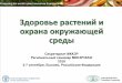 Здоровье растений и охрана окружающей - IPPC · 2018-09-11 · Виды деятельности в рамках ежегодной темы 2018