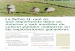 La fiebre Q: qué es, qué importancia tiene en Asturias y ... · Fiebre Q en Asturias, tanto de los casos clínicos agudos como de los crónicos. 3.Determinar los genotipos de C