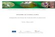 INFORME DE CONSULTORIA - CLIFORclifor.hn/wp-content/uploads/2016/07/informe-Final... · Informe Final del Proceso de Transversalización Mes N. 1 Mes N. 2 Mes N. 3 Mes N. 4 Mes N