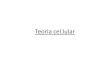 Teoria cel - WordPress.com · 2. La cèl.lula és la unitat estructural i funcional dels éssers vius 3. Totes les cèl.lules provenen d’unacèl.lula anterior •1858 Virchow afegeix