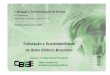 Tributação e Sustentabilidade do Setor Elétrico Brasileiro · Tributação e Comercialização de Energia CBIEE - Câmara Brasileira de Investidores em Energia Elétrica IIR Conferences