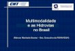 Multimodalidade e as Hidrovias no Brasilweb.antaq.gov.br/portalv3/pdf/Palestras/ForumHidrovias2009/Painel… · modal, com a emissão de documentos por cada ... Transporte Hidroviário
