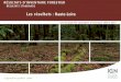 Les résultats : Haute-Loire - INVENTAIRE FORESTIER ... RÉSULTATS D’INVENTAIRE FORESTIER – RÉSULTATS STANDARDS (campagnes 2009 à 2013) – Haute-Loire 18 Total Composition du