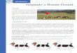INFORMAÇÃO Julgando o Basset Hound - CBKC...Basset Hound e Dachshund apresentam é a acondroplasia, e raças anãs são geralmente referidas como raças acondro plásicas. Com a