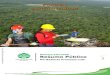Manejo Florestal Resumo Público · manejo florestal de impacto reduzido, buscando, com isso, tornar-se referência mundial no uso econômico ambientalmente sustentável de florestas