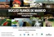 NÚCLEO PLANOS DE MANEJO...NÚCLEO PLANOS DE MANEJO Unidades de Conservação Paulista Fundação Florestal Coordenadoria de Planejamento Ambiental Coordenadoria de Educação Ambiental