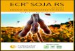 SUMÁRIO - Fundação Pró-Sementes · Tabela 4 - Rendimento de grãos das cultivares de soja de ciclo precoce indicadas para o Estado do Rio Grande do Sul pelo Zoneamento Agrícola
