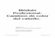 Módulo Profesional: Cambios de color del cabello.iespatacona.edu.gva.es/b/documents/download/documents/... · 2018-11-04 · 1.2 justificación de la programación 2. contextualizaciÓn