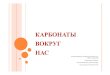 Карбонаты вокруг насold.vsuet.ru/school-y-chemist/interesting2012/karbonaty.pdf · кислоты, где и как можно применить приобретённые