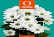 Cut Chrysanthemum期間限定 06 シングル 品種名称 育種元 花型 花色 伸び 花径 到花週数 スプレー・一輪 コメント ケイト Dekker シングル オレンジ5
