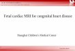 Shanghai Children s Medical Center Card/Paediatric I/Ming Zhu... · 2019-06-14 · • Fetal cardiac MRI should be an useful imaging tool for CHD. But it still is one of the most