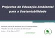 Projectos de Educação Ambiental para a Sustentabilidade...Sustentabilidade na Terra Ecossistemas Gestão sustentável de recursos. Acções práticas de sensibilização. Libertação