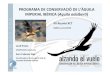 PROGRAMA DE CONSERVACIÓDE L’ÀGUILA IMPERIAL IBÈRICA … reunio/comunicacions/SEO_ALzando... · 2012-06-27 · imperial ibèrica en la conservacióde l’espècie i el seu hàbitat