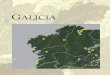 REGISTROS PALEOBOTÁNICOS DE GALICIA · 2013-02-06 · REGISTROS PALEOBOTÁNICOS DE GALICIA (el número corresponde al indicado en el mapa) 1. MD01-2447 2. MD99-2331/MD03-2697 3