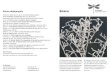 Petite bibliographie Sibérie - La libellule · 2019-03-07 · Heinrich, B. Winter World : The Ingenuity of Animal Survival Paperback Morel J. (2000) 101 vertébrés dans votre poche