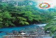 COSTA RICA PARADISÍACA, 15 DIES / 13 NITS · 2018-03-24 · La Costa Rica alternativa, sostenible i responsable. COSTA RICA PARADISÍACA, 15 DIES / 13 NITS Dia 3. Cartago - Carib