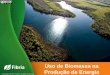 Uso de Biomassa na Produção de Energia · 2017-06-26 · Mercado projetado 2017 Market Share Global Eucalipto (2016) Celulose de Eucalipto 23% ... 2,6B 9gpy 130 Unidades 18 MM t/a