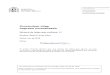 Currículum vitae Impreso normalizado - Blog UCLMblog.uclm.es/beatrizlarraz/files/2016/09/CVN-cneai-nov-anon-2016.pdf · Currículum vitae Impreso normalizado Número de hojas que